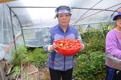 022dafc81f1038b6cea436da98fc739c_1761902339_8709.jpg 022dafc81f1038b6cea436da98fc739c_1761902339_8709.jpg