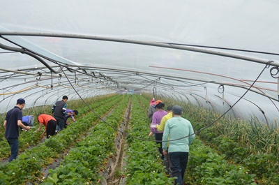 022dafc81f1038b6cea436da98fc739c_1761902339_9111.jpg 022dafc81f1038b6cea436da98fc739c_1761902339_9111.jpg