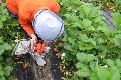 022dafc81f1038b6cea436da98fc739c_1761902339_9934.jpg 022dafc81f1038b6cea436da98fc739c_1761902339_9934.jpg