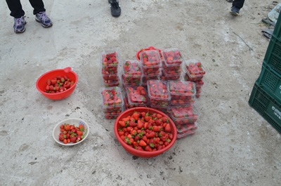 022dafc81f1038b6cea436da98fc739c_1761902340_0362.jpg 022dafc81f1038b6cea436da98fc739c_1761902340_0362.jpg