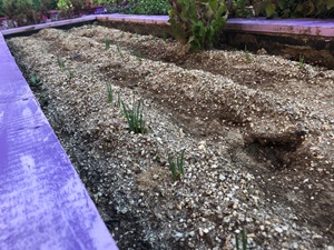 022dafc81f1038b6cea436da98fc739c_1761903639_3259.jpg 022dafc81f1038b6cea436da98fc739c_1761903639_3259.jpg