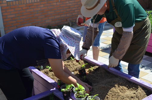 022dafc81f1038b6cea436da98fc739c_1761903735_4155.jpg 022dafc81f1038b6cea436da98fc739c_1761903735_4155.jpg