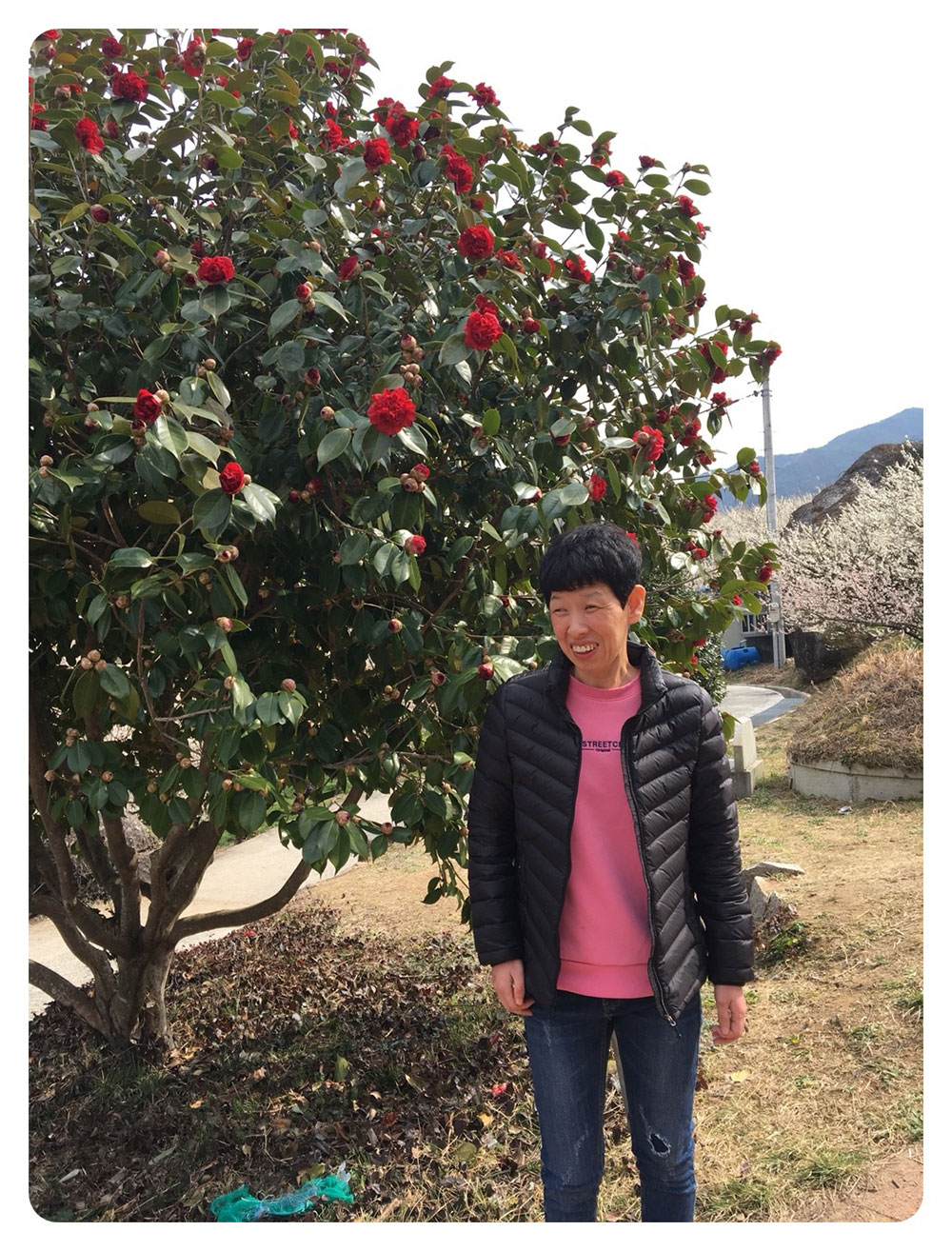 c954867abb9dd9d4df3d17e2da68ef67_1761484088_9154.jpg