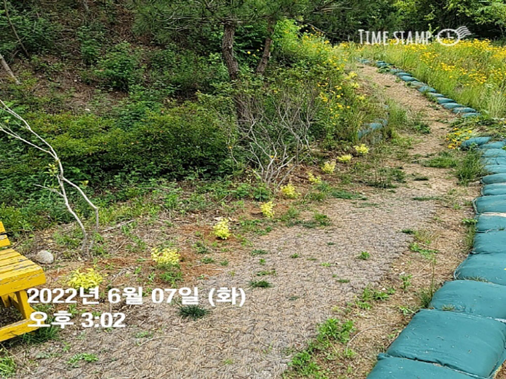 093a65dae6ae628755d3d9315daf5ab3_1762852308_2709.jpg 093a65dae6ae628755d3d9315daf5ab3_1762852308_2709.jpg