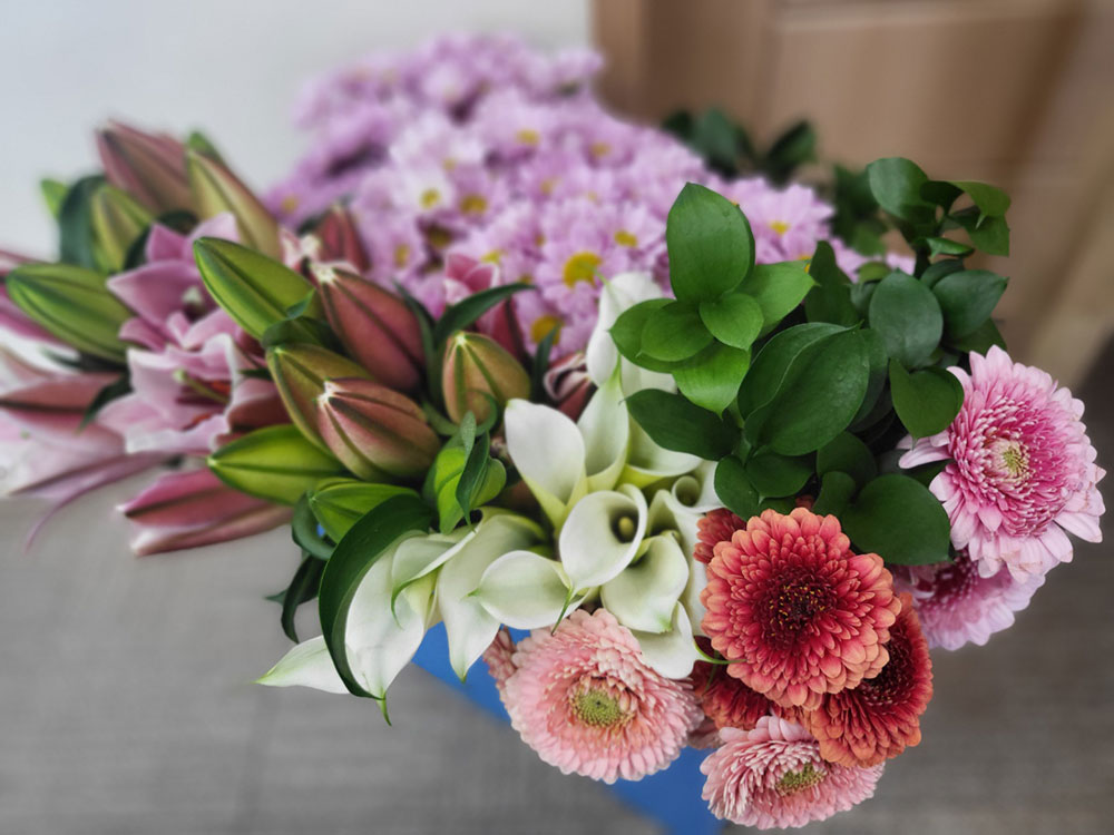 15bc4ee40827feed23900e8ba8c63fd2_1763114827_5591.jpg 15bc4ee40827feed23900e8ba8c63fd2_1763114827_5591.jpg