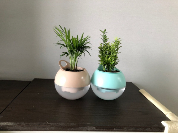 dacd9ba0a631319f044942544c0d088e_1762160928_7614.jpg dacd9ba0a631319f044942544c0d088e_1762160928_7614.jpg