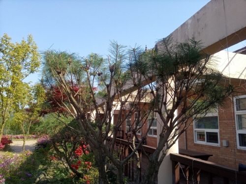 dacd9ba0a631319f044942544c0d088e_1762165212_2437.jpg dacd9ba0a631319f044942544c0d088e_1762165212_2437.jpg