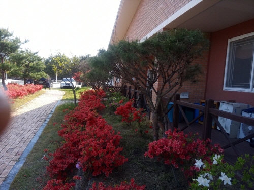 dacd9ba0a631319f044942544c0d088e_1762165212_3036.jpg dacd9ba0a631319f044942544c0d088e_1762165212_3036.jpg