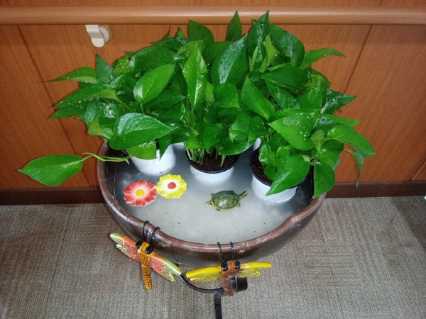 dacd9ba0a631319f044942544c0d088e_1762167131_7526.jpg dacd9ba0a631319f044942544c0d088e_1762167131_7526.jpg