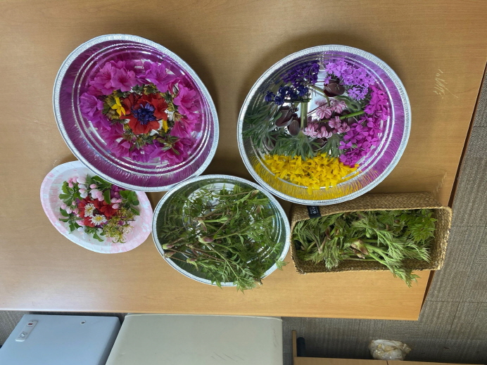 db16f3f0033a233fc15d9ef5ccb11511_1762834309_6939.jpg db16f3f0033a233fc15d9ef5ccb11511_1762834309_6939.jpg